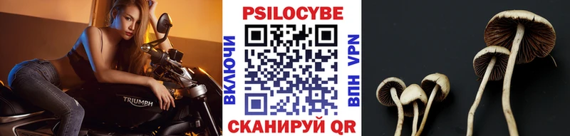 Псилоцибиновые грибы мицелий  kraken сайт  Асбест 